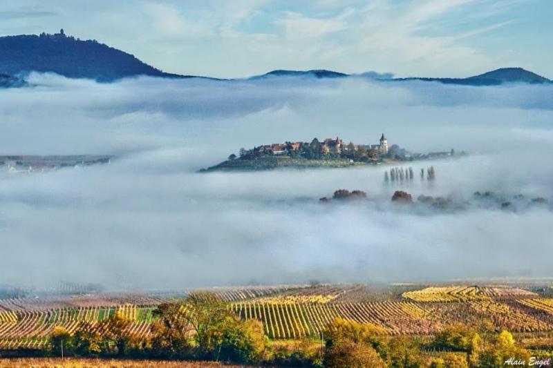 Adrihof A Riquewihr, Cour De L'Abbaye D'Autrey Bed and Breakfast Εξωτερικό φωτογραφία